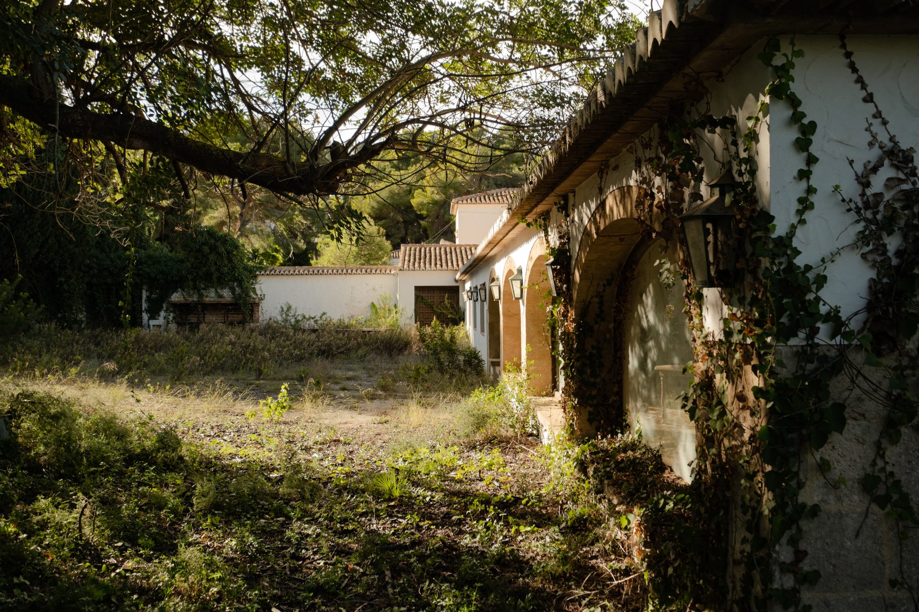 Jard&iacute;n con hiedra
